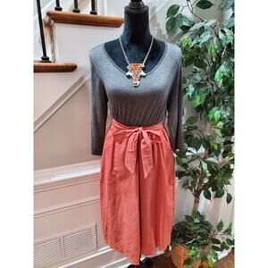 Tinley Women's Brown & Gray Rayon Round Neck Long Sleeve Knee Length Dress Small